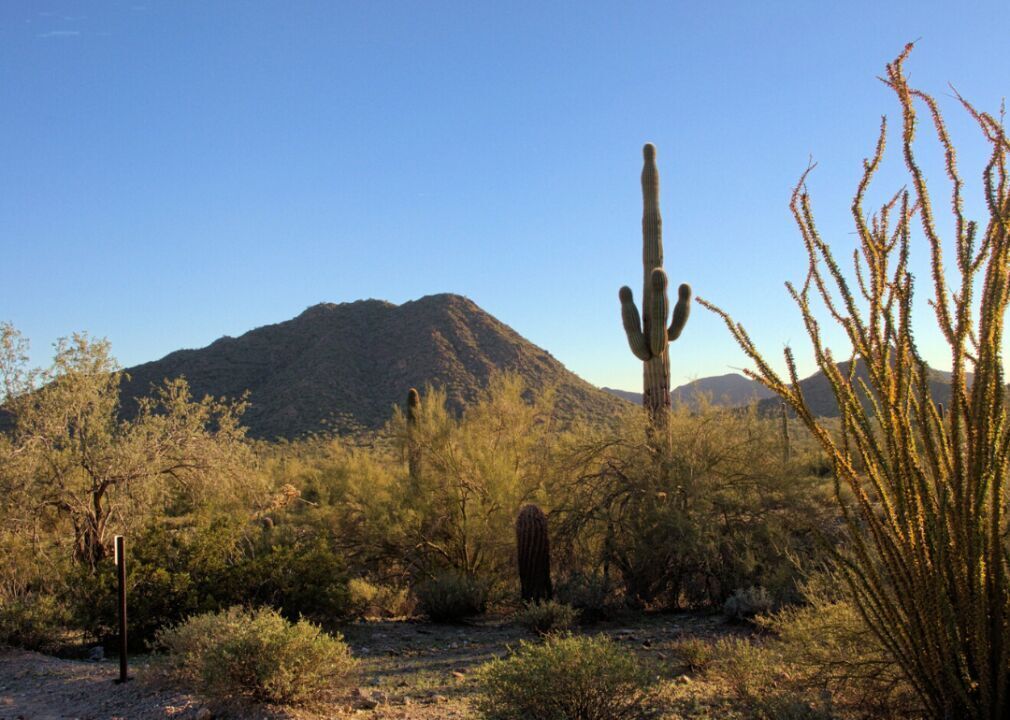 #34. Sun Lakes, Arizona